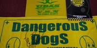 Blog - Tokyo Auto Salon - URAS-20102001-0